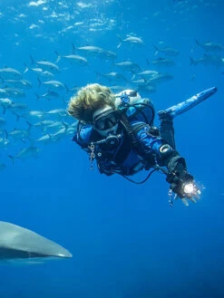 Halcyon Element Carbon Fibre Twin Backplate And Wing System -Mares Diving Shop Halcyon Element Twin 40lb Backplate and Wing System Lifestyle